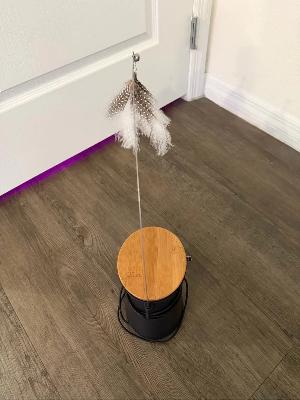 Furbo 360° Cat Camera Auto-Tracking, Video History & 2-Way Audio. Plan Req.